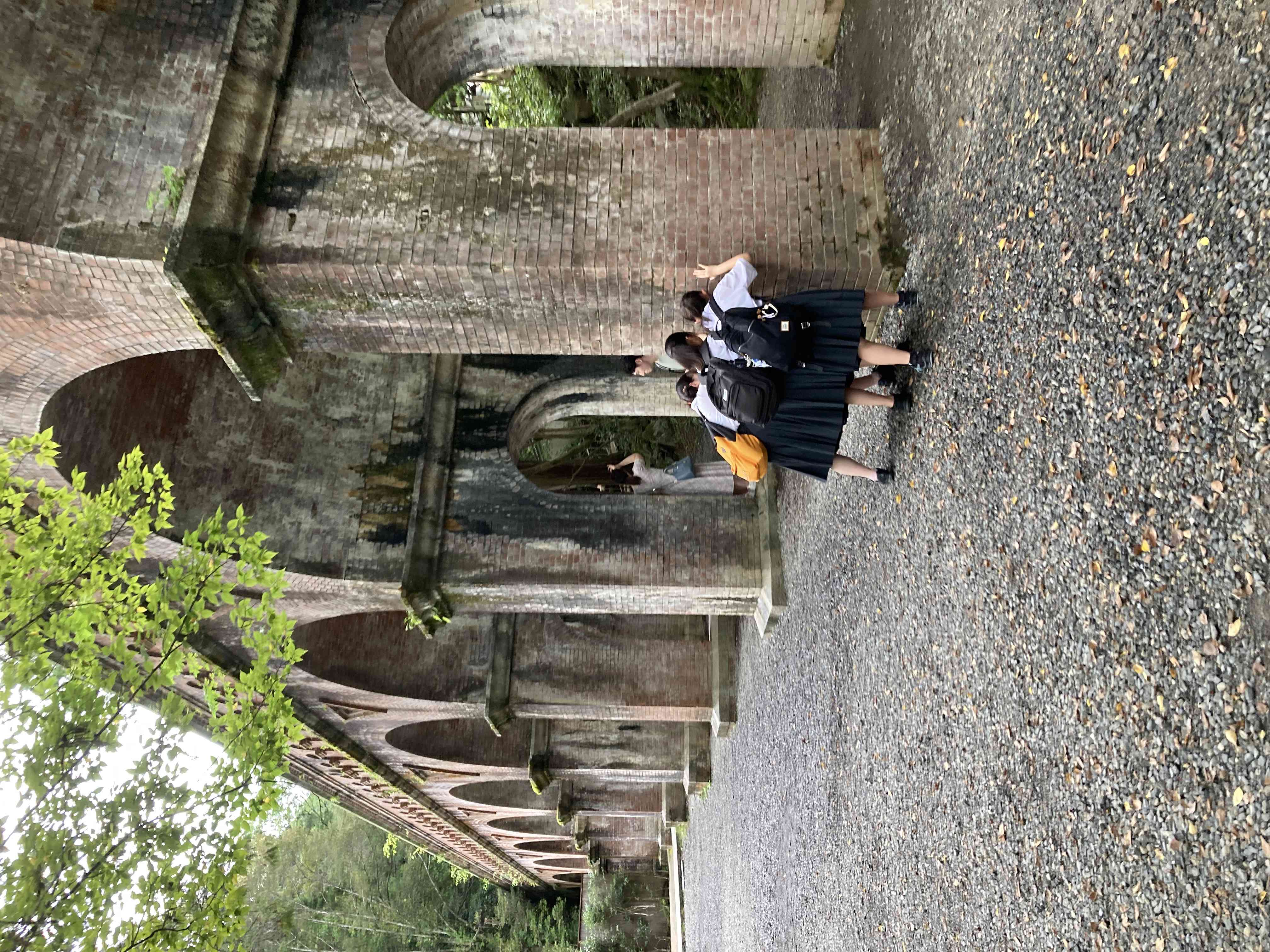 IMG_2232
